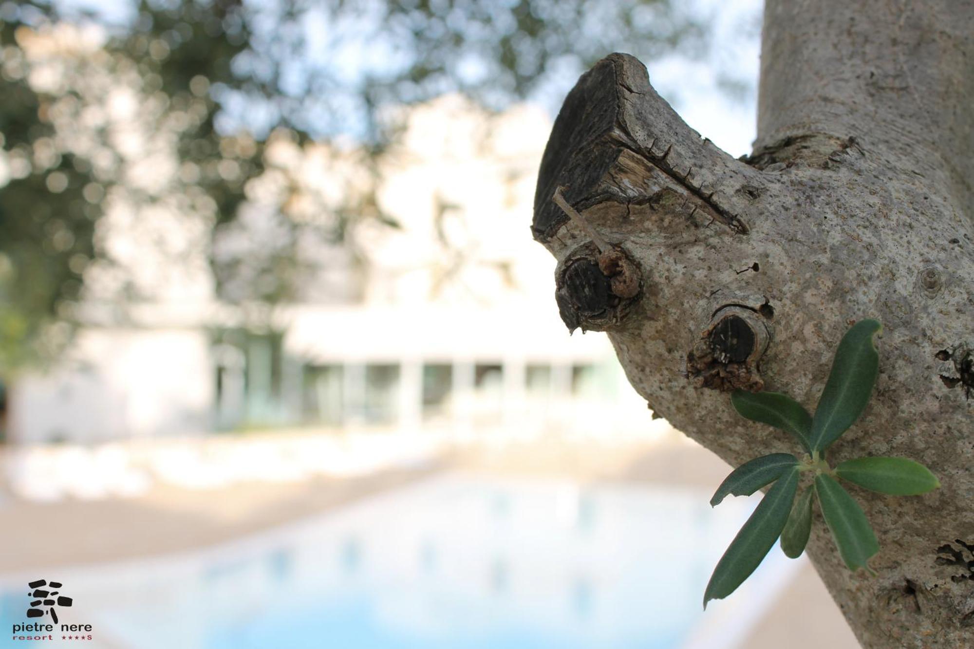 Pietre Nere Resort & Spa Modica Exterior foto